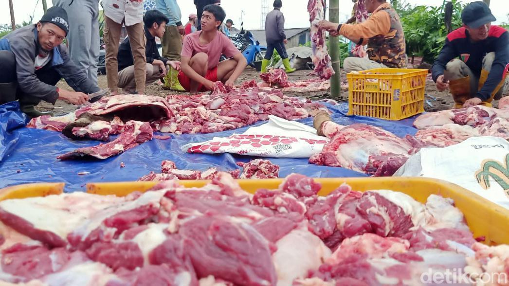 Dokter Ungkap Orang dengan Kondisi Ini Sebaiknya Batasi Konsumsi Torpedo Kambing