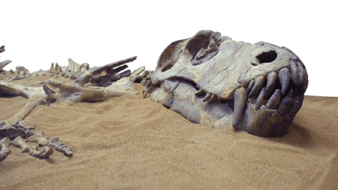 Hujan Lebat Ungkap Fosil Dinosaurus Tertua yang Tersembunyi Jutaan Tahun