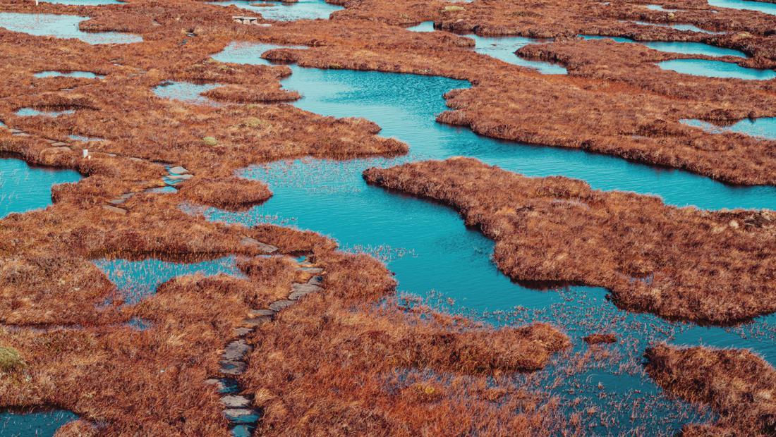 Gokil! Lahan Gambut di Skotlandia Masuk Warisan Dunia UNESCO