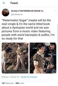 Harry Styles Bikin Cuitan &lsquo;Watermelon Sugar&rsquo;, Apa Artinya?