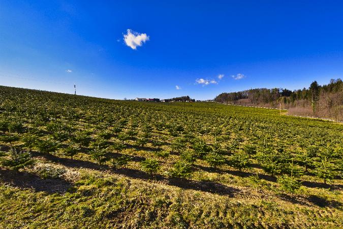 Eggersdorf / GrazUmgebung Über 15 ha landwirtschaftliche Nutzfläche AWZ Immobilien