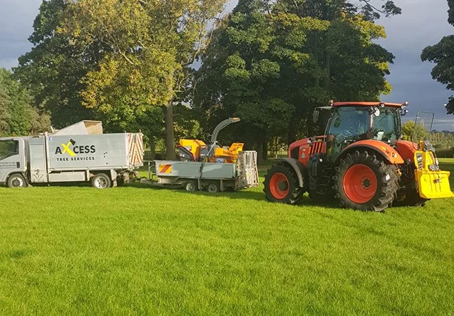Tree Surgeon Chester & Wrexham, Tree Services Cheshire & North Wales