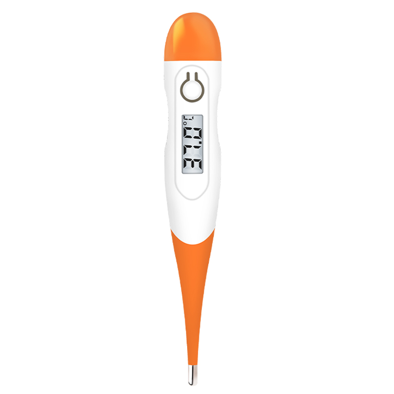 Home Portable Thermometer – AXDCARE