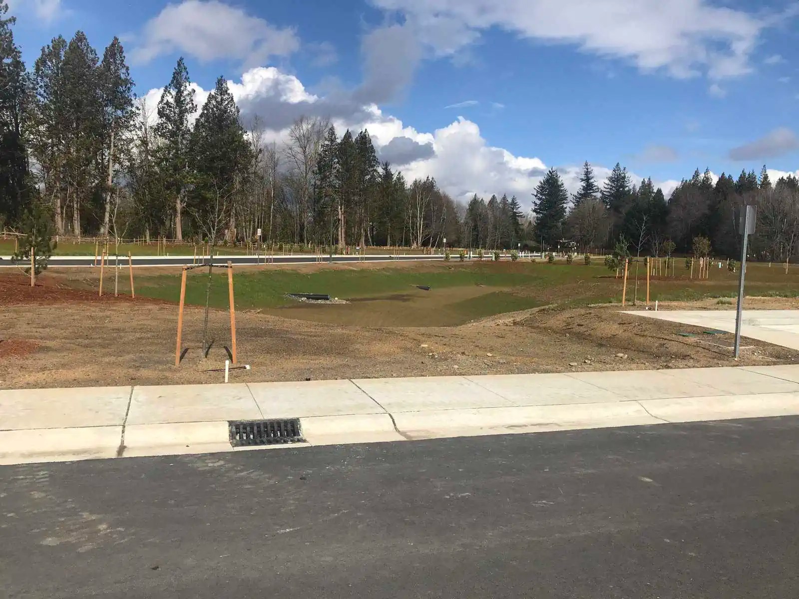 Woods Point Residential Subdivision City of Ferndale AXE