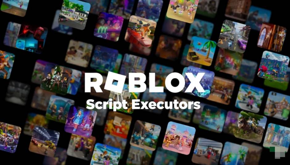 Guide to Roblox Script Executors Safety, Functionality, and Best
