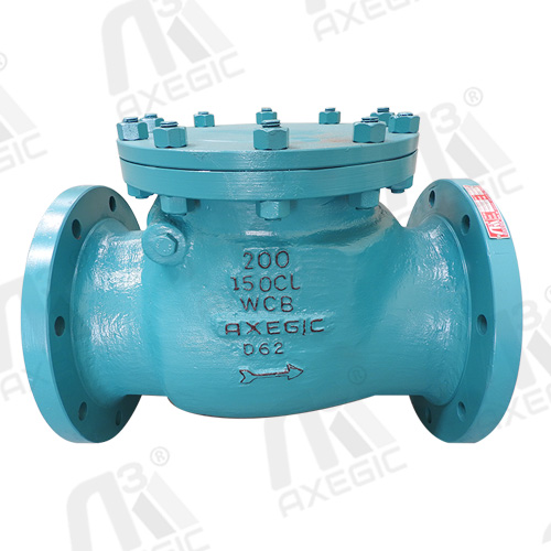 Swing Check Valve Suppliers in South Africa at Best Price