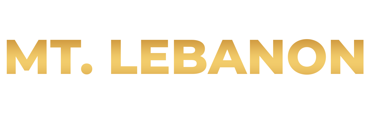 Lumberjaxes The Best Axe Throwing Venues in Pittsburgh