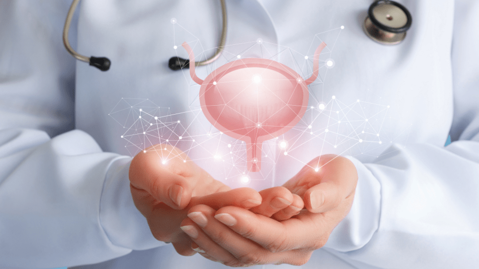 Seat Cushion For Interstitial Cystitis 2023 Doctors Guide