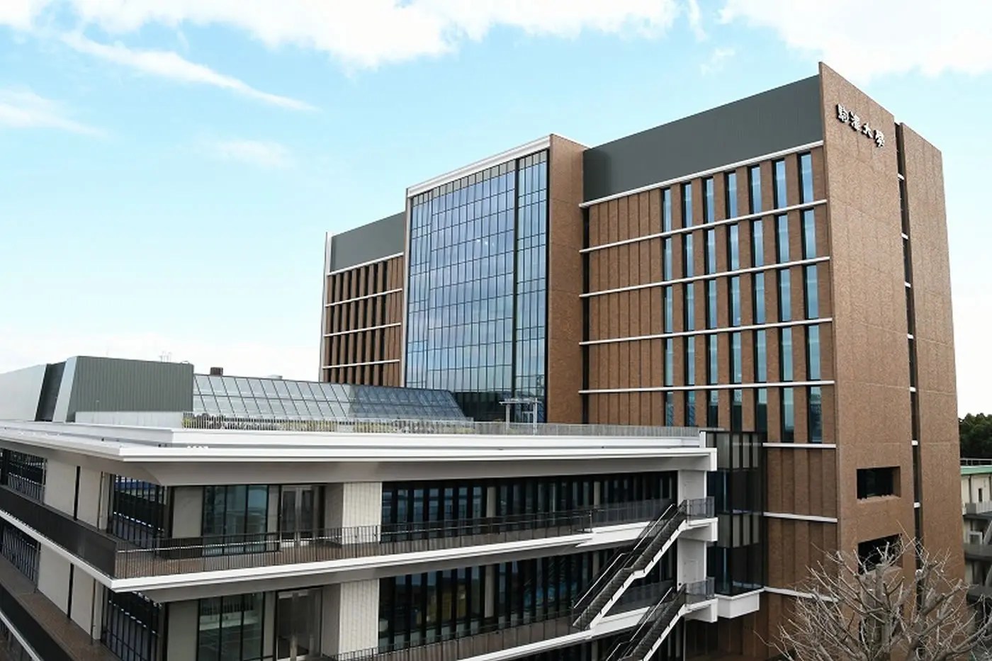 駒澤大学ってどんなとこ？ 【公式】アクシブアカデミー｜大学受験の11個別予備校