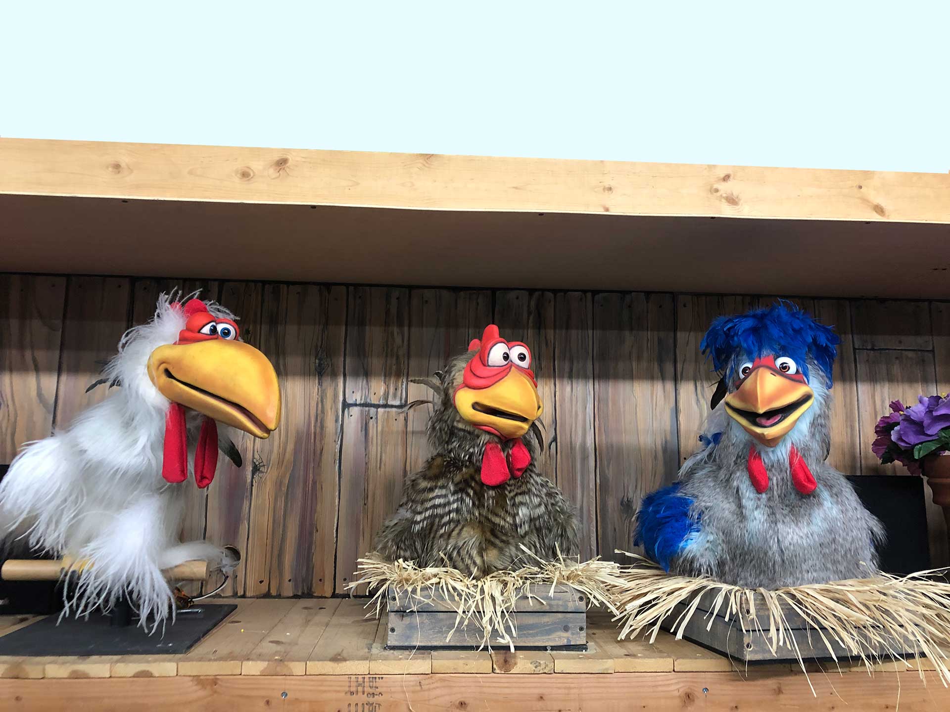 Home Axtell Expressions