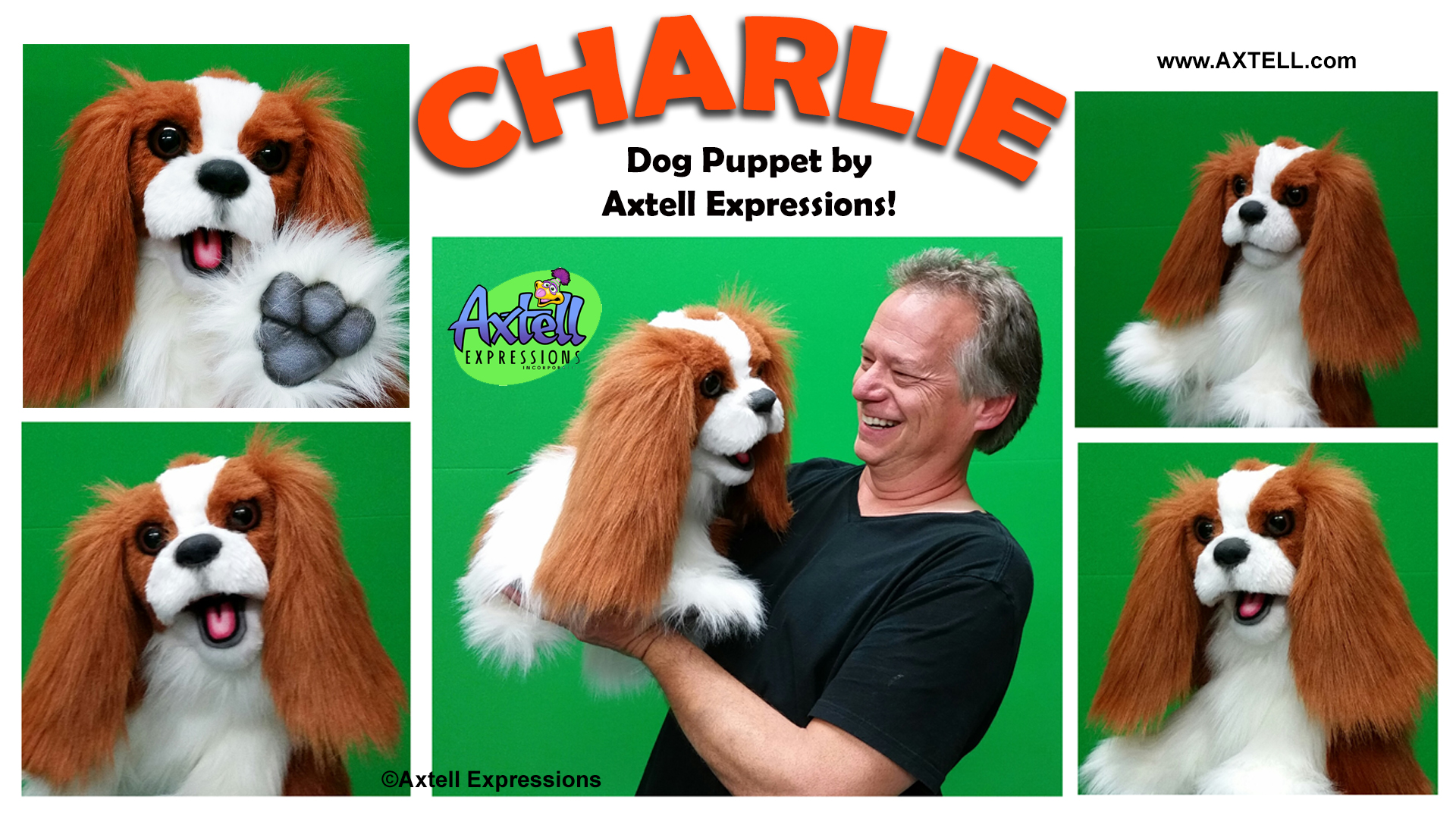 Charlie Dog Puppet Axtell Expressions