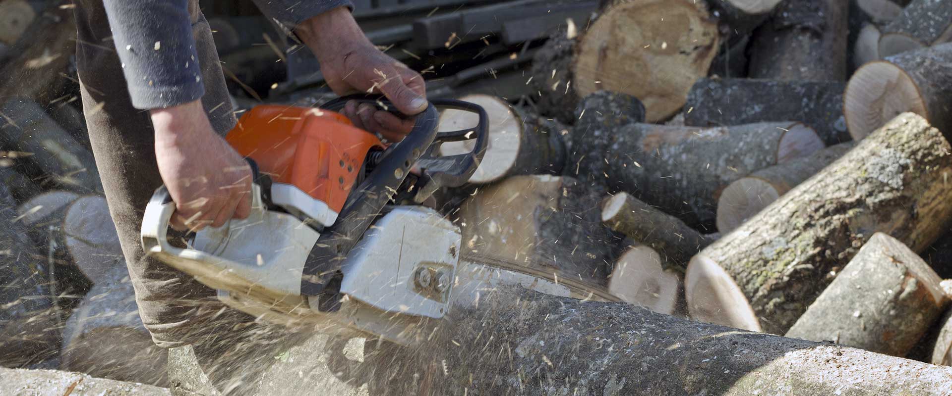 Your North Carolina Tree Service, Removal & Stump Grinding Specialists