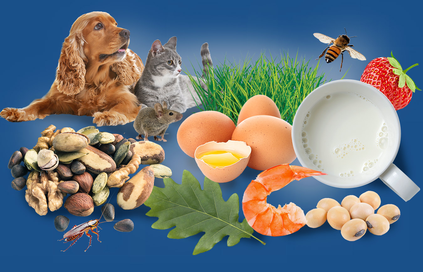 Ayass BioScience, LLC Testing Research