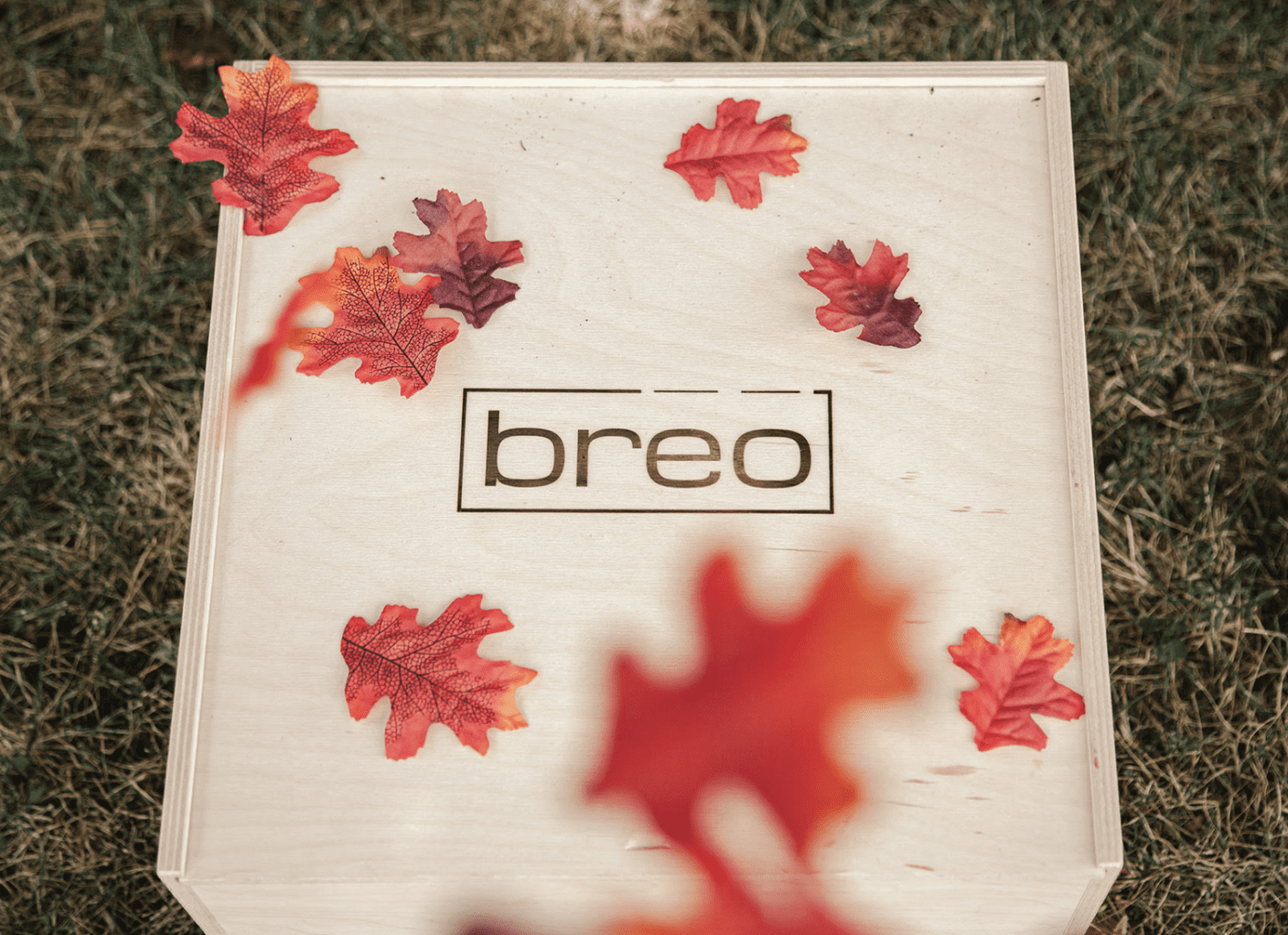 Breo Box Fall 2023 A Year Of Boxes™ | Breo Box Fall 2021 Box Now Available - A Year Of Boxes™