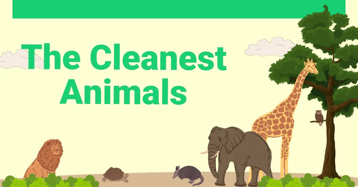 What is the Cleanest Animal in the World? Latest Updates