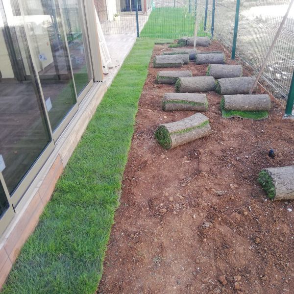 Rulo (hazır) çim uygulaması