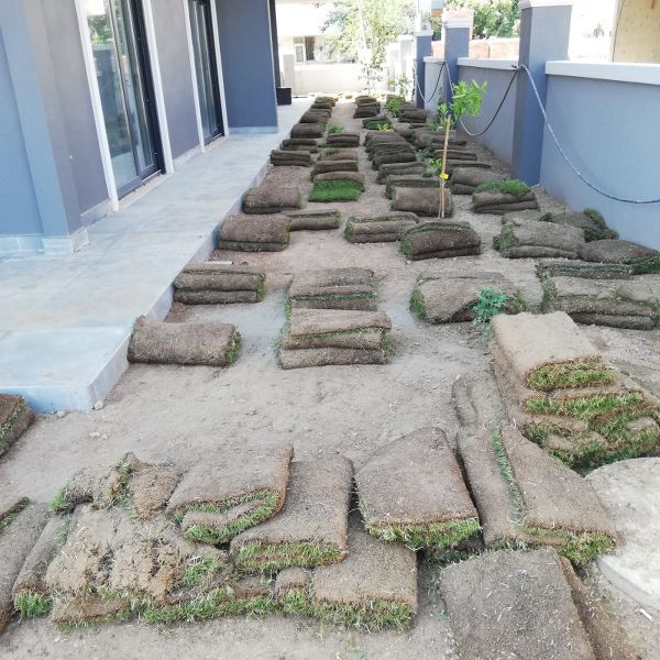 Rulo (hazır) çim uygulaması