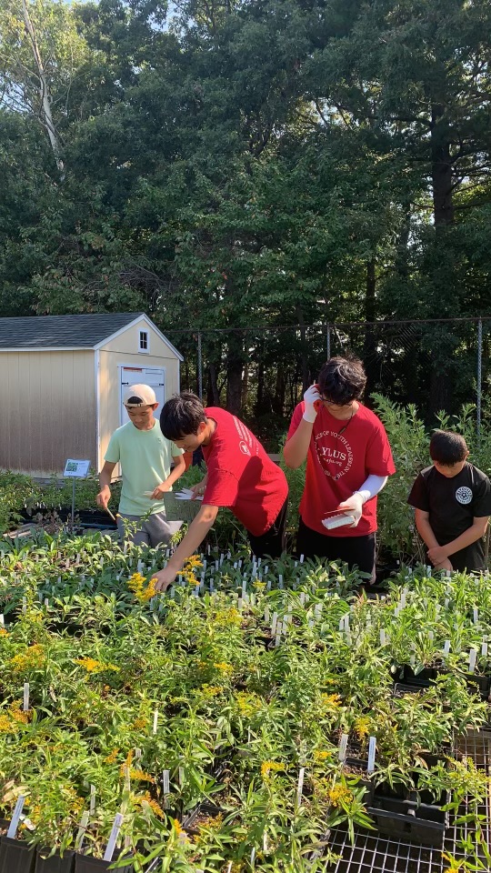 Syosset AYLUS organization went to Long Island Native Plant Initiative