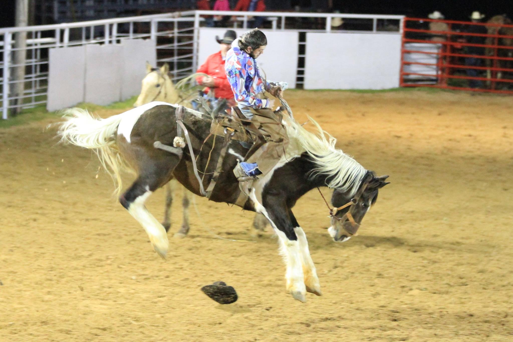 Visiting Some Arkansas Rodeos AY Magazine