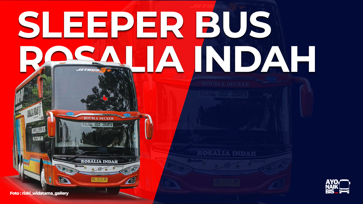 Sleeper Bus Rosalia Indah Jadwal, Rute dan Harga Tiket Terbaru Ayo
