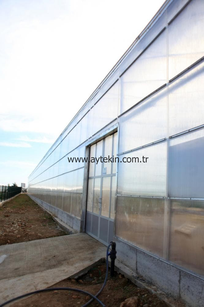 Seedling Greenhouse Antalya Turkey