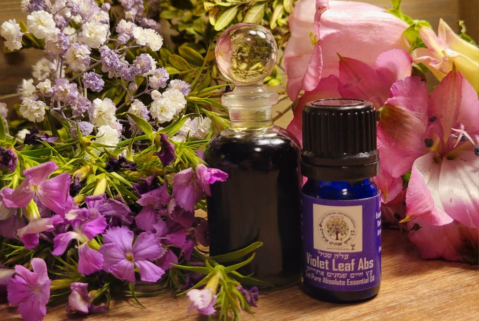 Violet Flower Essential Oil Best Flower Site