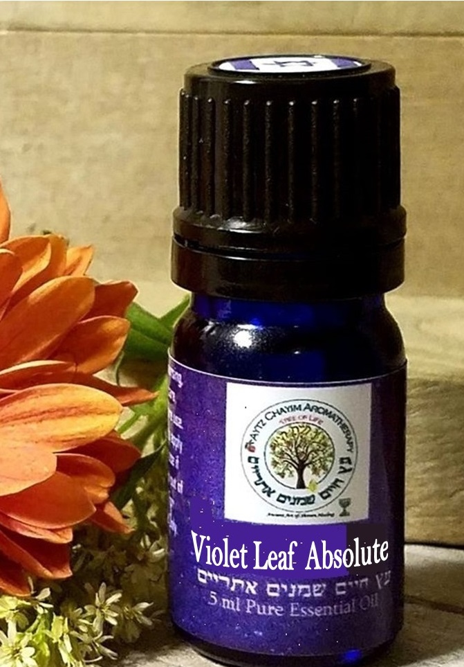 Violet Leaf Absolute Organic Essential Oil RARE High Quality Aytz