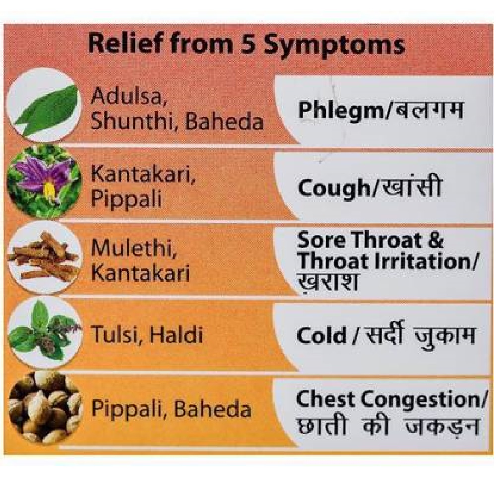 Dabur Honitus Adulsa Syrup Pack of 100ml Pack of 2pcs Helps to