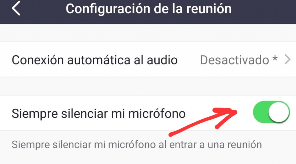 🥇 ¿Cómo silenciar el micrófono en Zoom desde el celular? 【Resuelto】