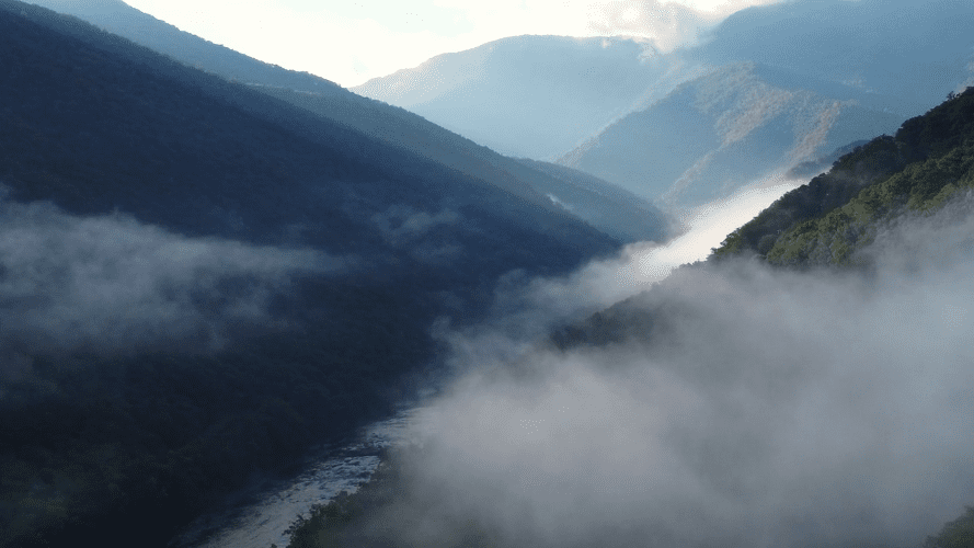 The Ayurvedic Institute Leading Ayurveda School Home Page