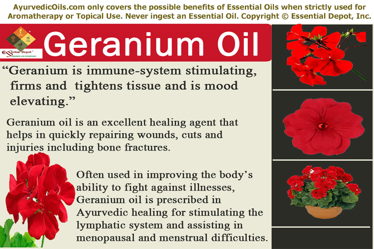 Safety data sheet of Geranium oil Essential Oil