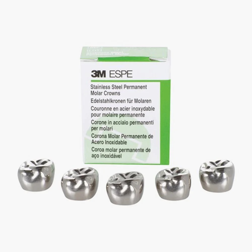 Stainless Steel Crown First Permanent Molar Replacement Crown (5 pcs