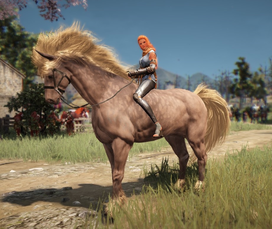 BDO Breeding the Impossible T8 Horse and Courser Training Aywren's