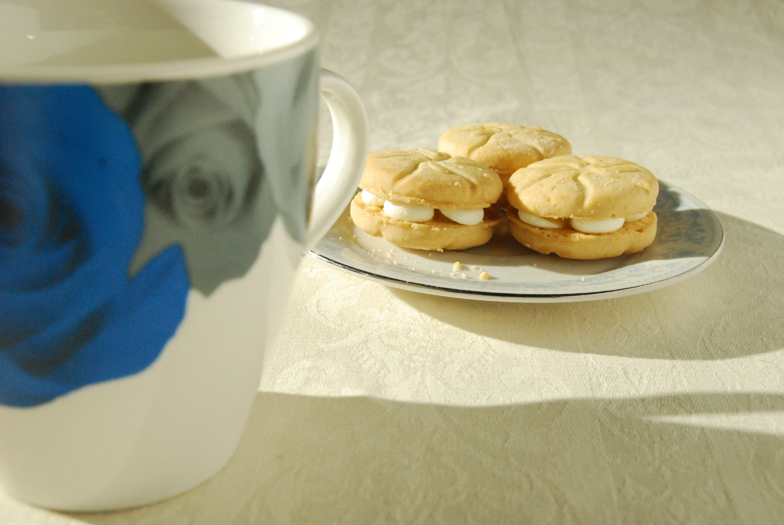 Tabletop Shoot Alice