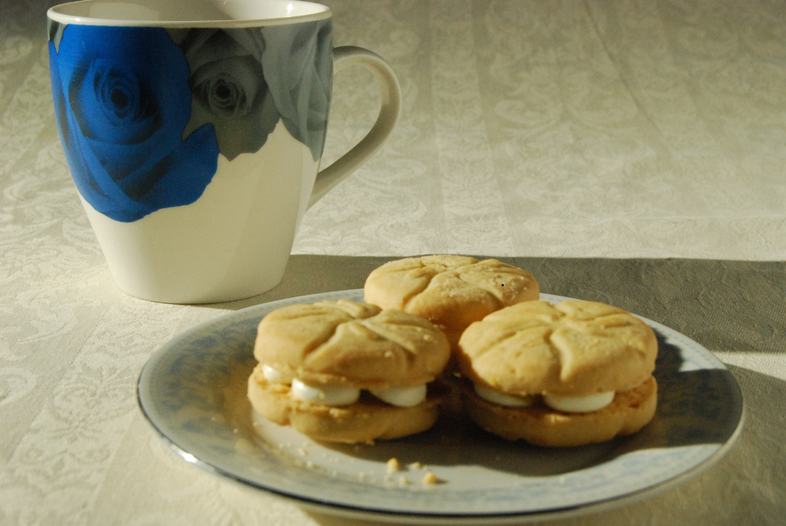 Tabletop Shoot Alice