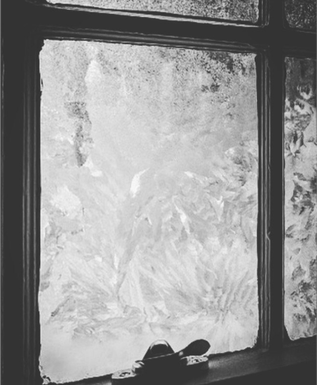 Stay Warm This Winter With Solar Window Films Residential and Commercial Window Tinting