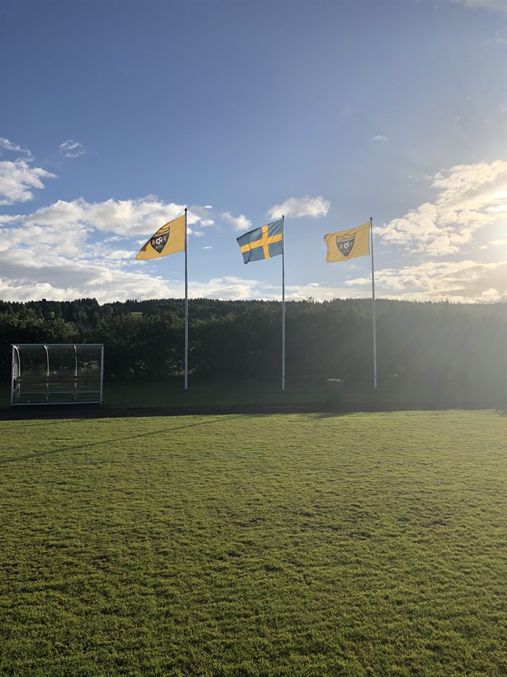 bingo vitgården 2023 Brunflo Fk