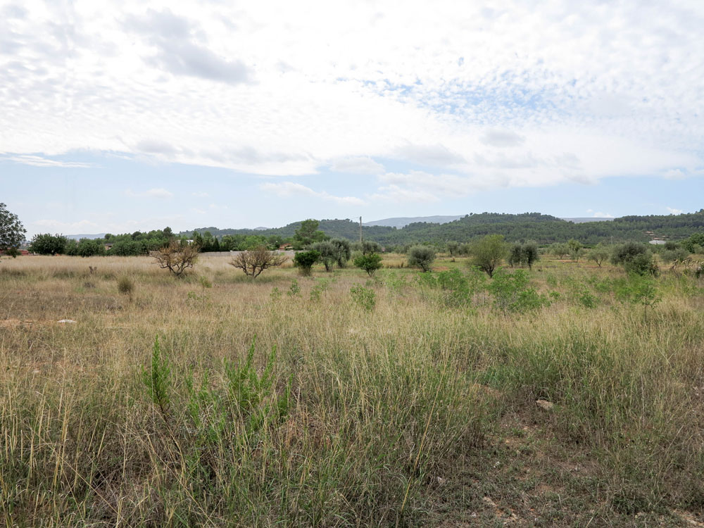Valencia property for sale on a large plot, 5km outside of Montroy 017708