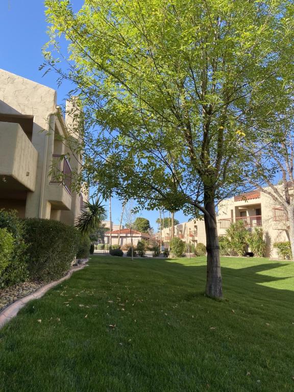 Renovated First Floor McCormick Ranch Condo