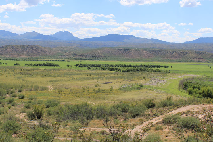 The Ruins of Old San Carlos