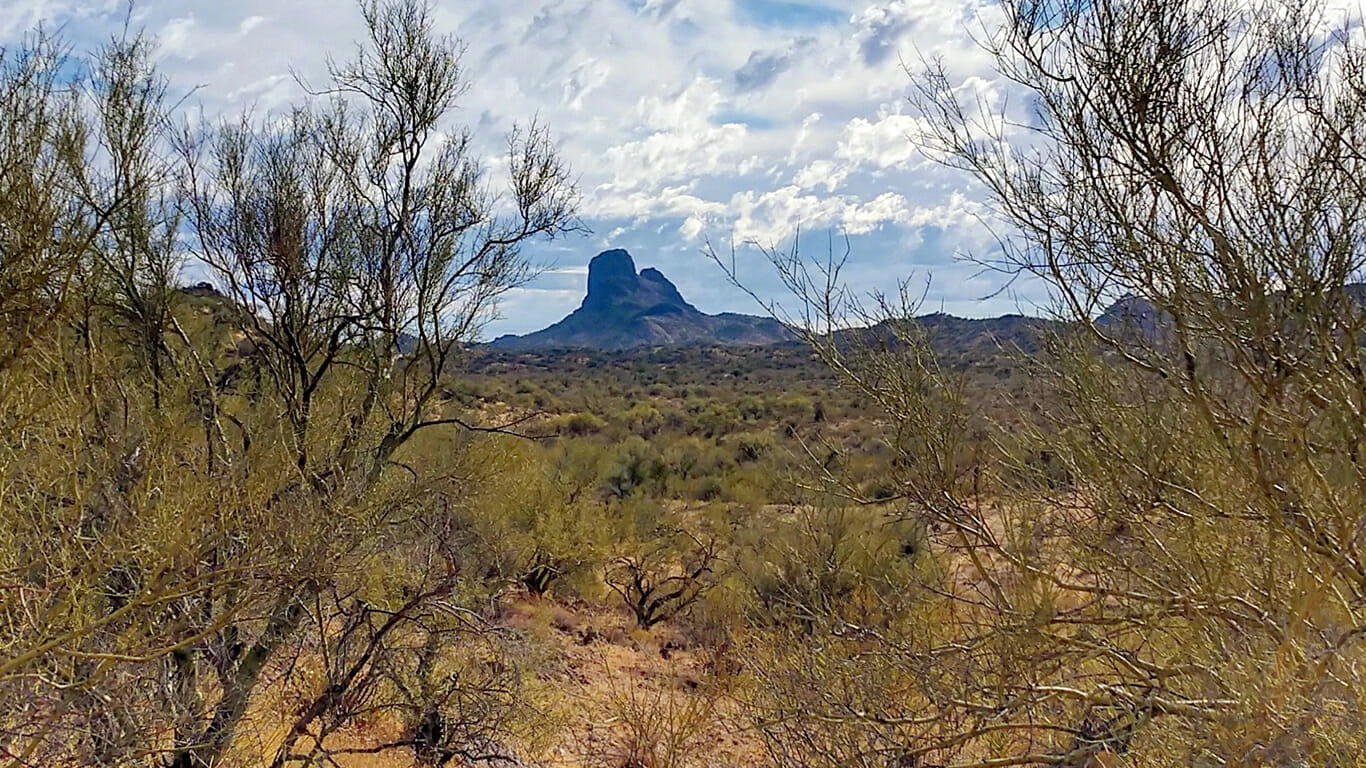 NAI sells 643 acres of Flying E Ranch in Wickenburg for 7 million AZ
