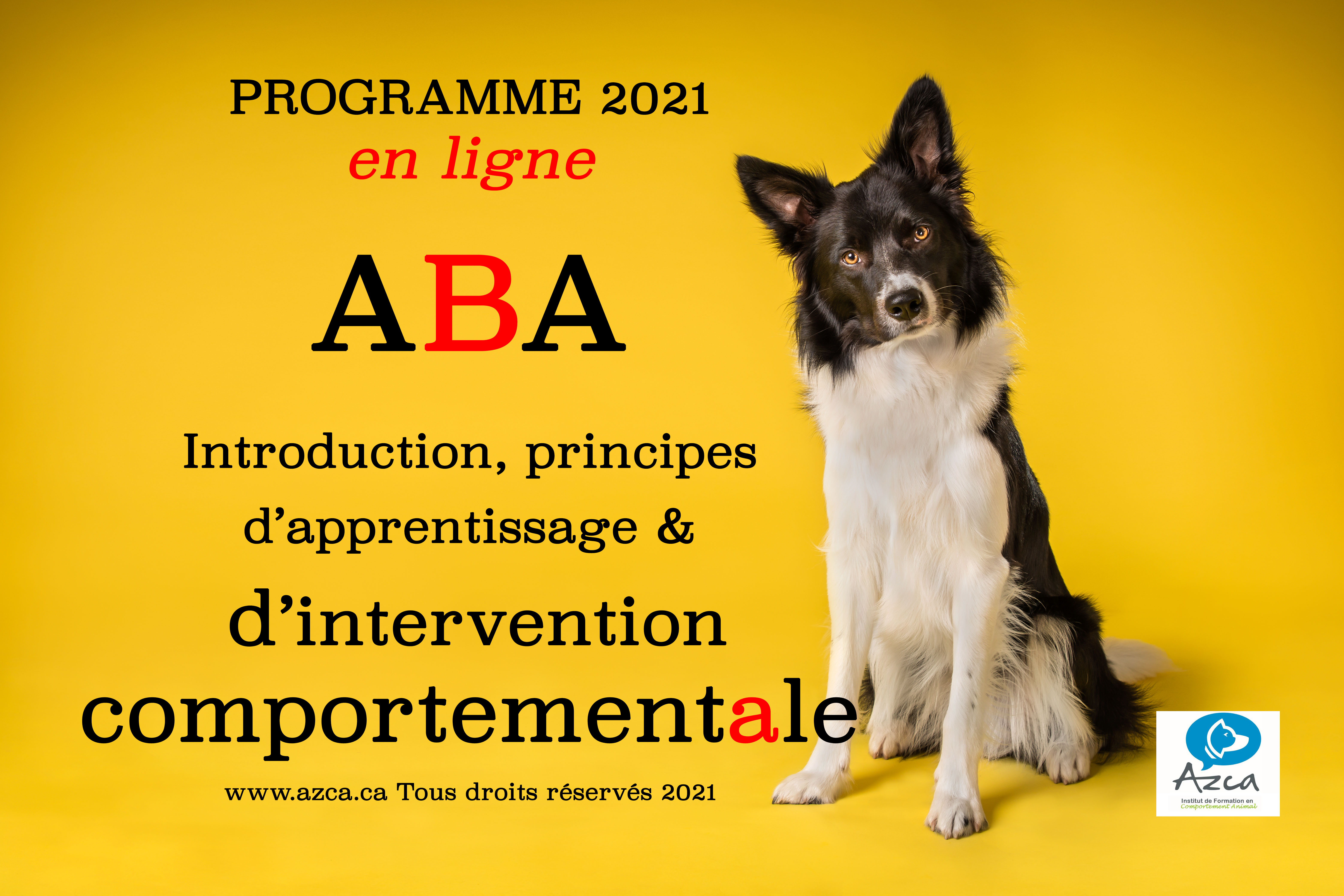 Programme en ligne ABA Introduction, Principes d