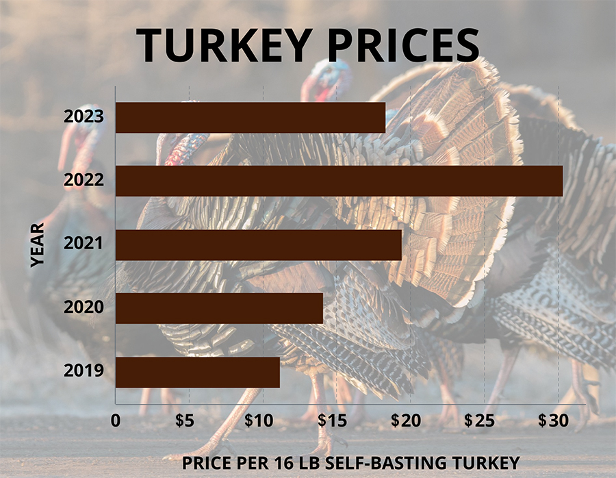 Increasing supply of turkeys drives down price of traditional(08)