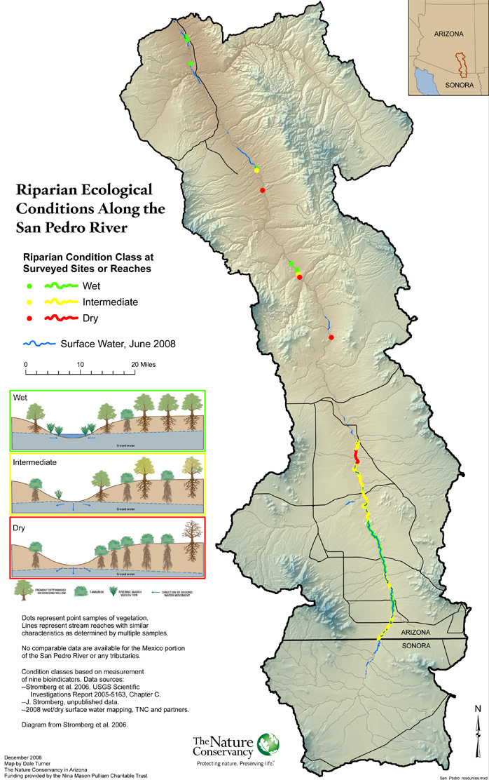 San Pedro River riparian ecological condition map The Nature