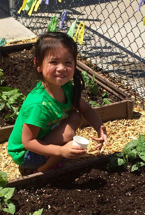 About Arizona Early Childhood Education Association