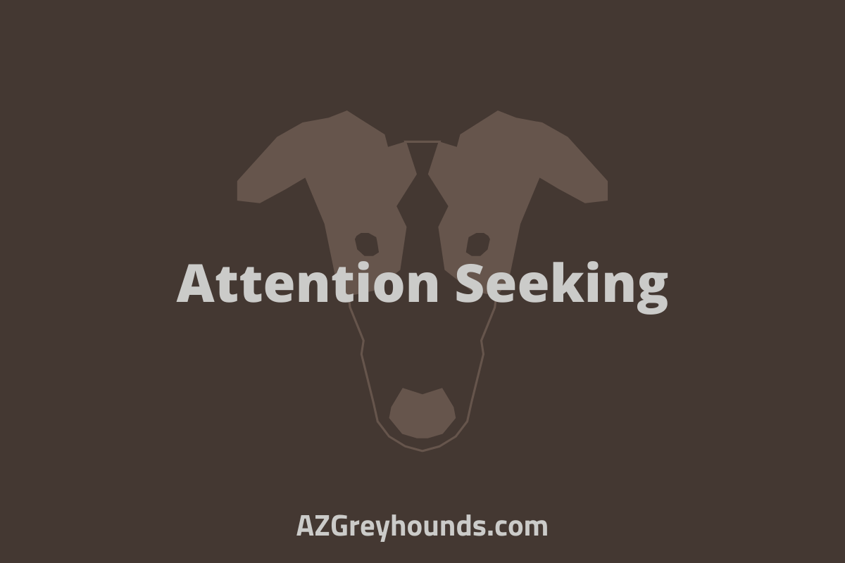 Greyhound Teeth Chattering 7 Possible Reasons & Solutions