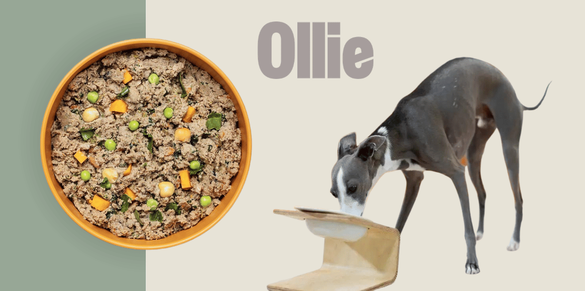 9 Best Dog Food for Italian Greyhounds in 2023