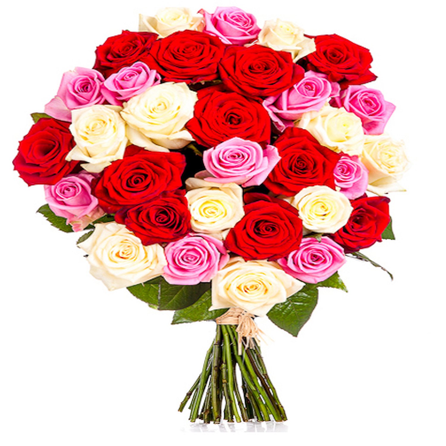 Three Colour Roses (per stem) Azhaar Flowers Flower Delivery