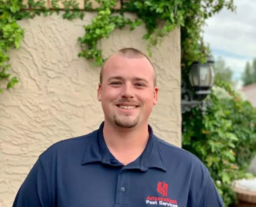 Phoenix Pest Control Heroes Phoenix Bed Bug Treatment