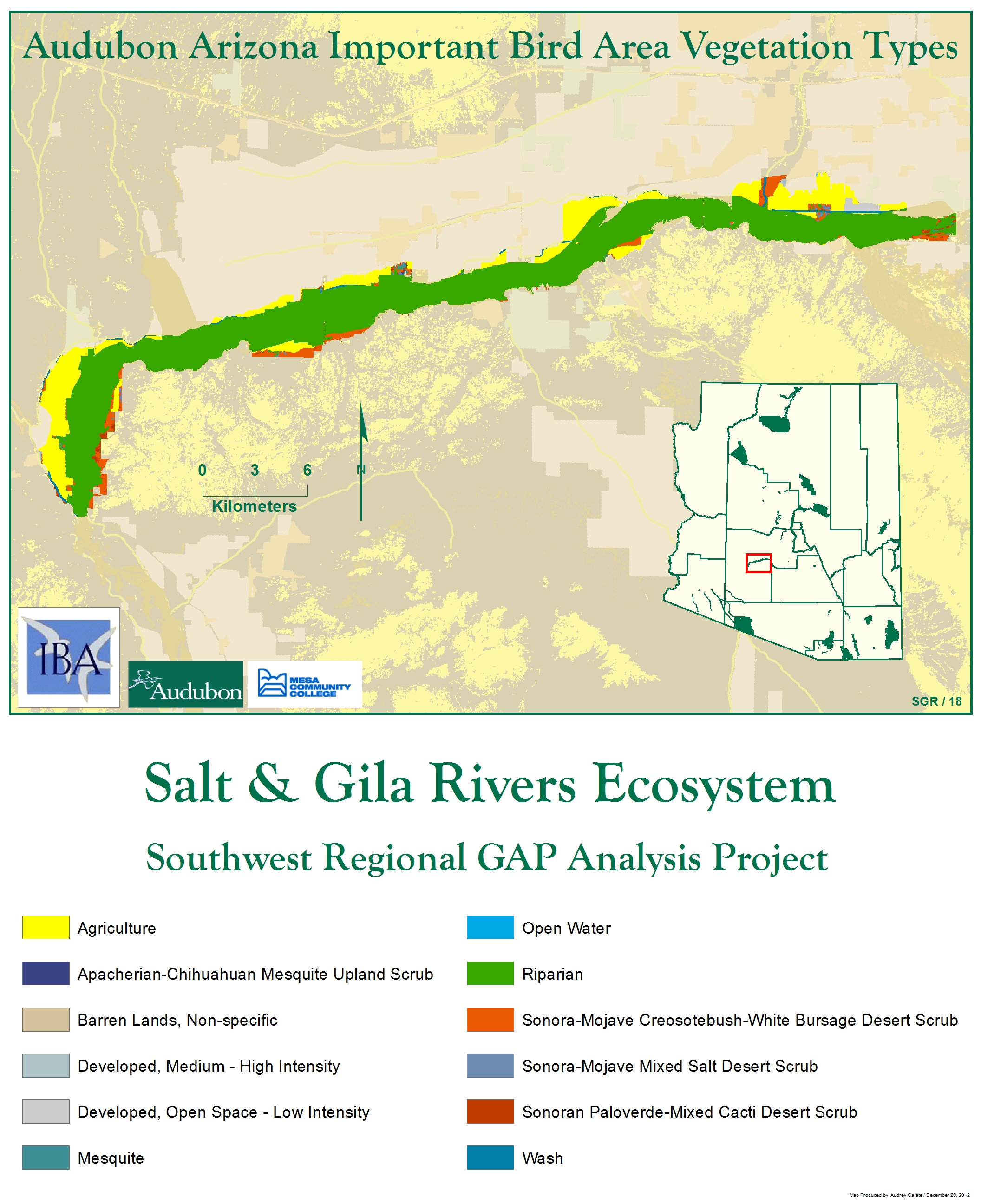 Lower Salt and Gila Rivers Ecosystem ☼ Arizona Important Bird Areas Program
